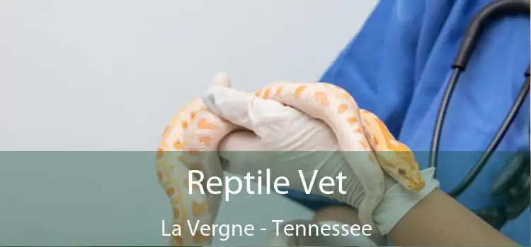 Reptile Vet La Vergne - Tennessee