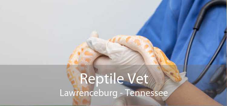 Reptile Vet Lawrenceburg - Tennessee