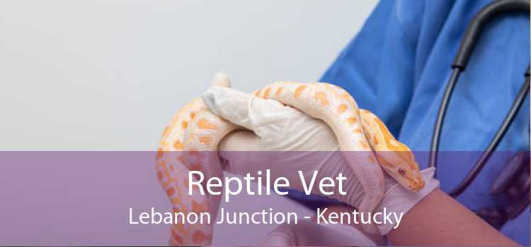 Reptile Vet Lebanon Junction - Kentucky