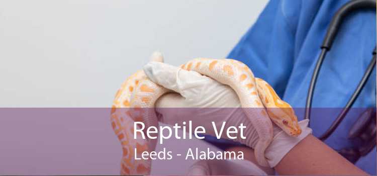 Reptile Vet Leeds - Alabama