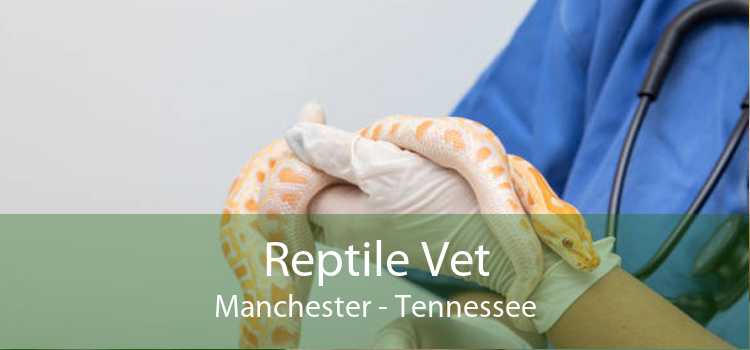 Reptile Vet Manchester - Tennessee