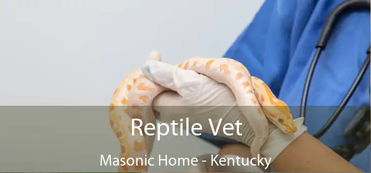 Reptile Vet Masonic Home - Kentucky