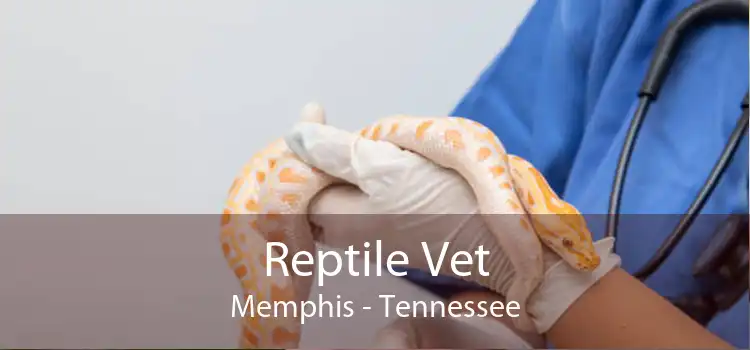 Reptile Vet Memphis - Tennessee