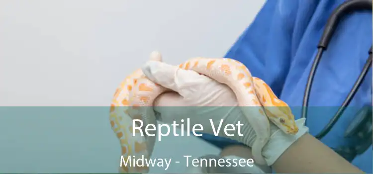 Reptile Vet Midway - Tennessee