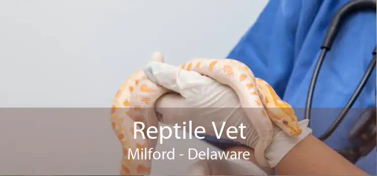 Reptile Vet Milford - Delaware