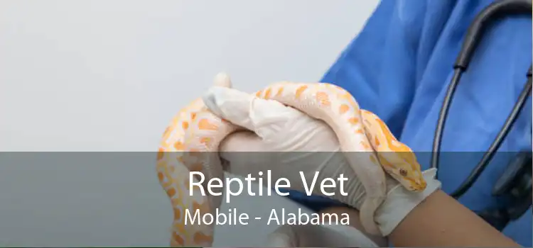 Reptile Vet Mobile - Alabama