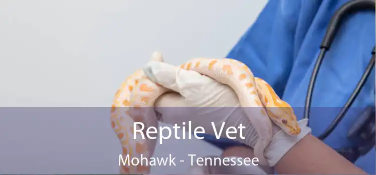 Reptile Vet Mohawk - Tennessee