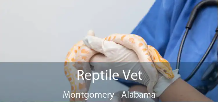 Reptile Vet Montgomery - Alabama