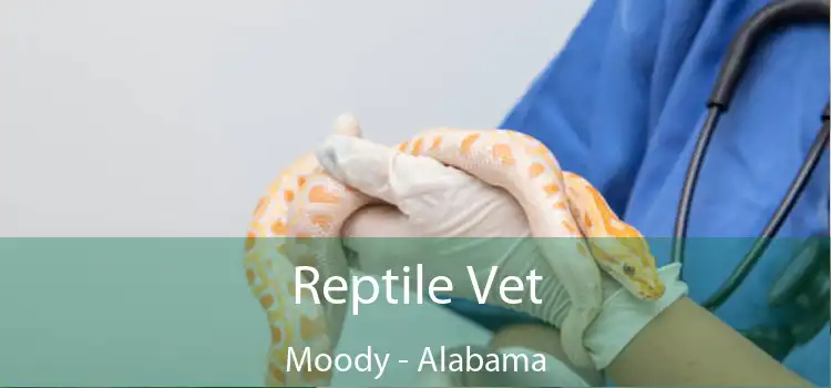 Reptile Vet Moody - Alabama