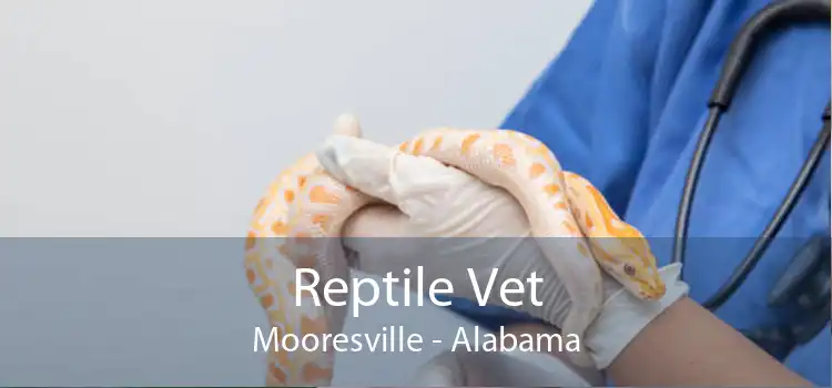 Reptile Vet Mooresville - Alabama