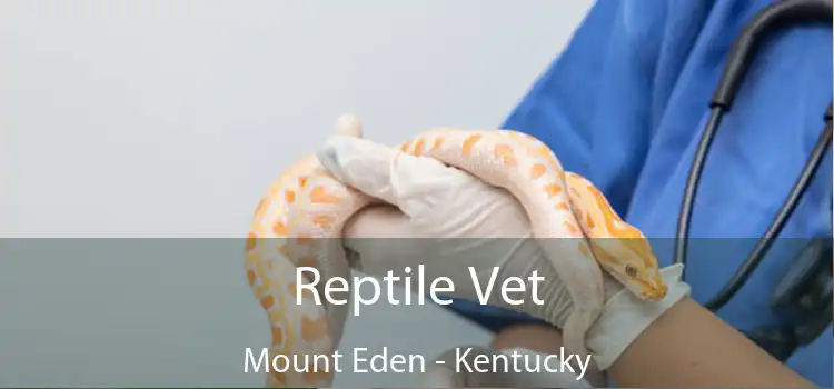 Reptile Vet Mount Eden - Kentucky