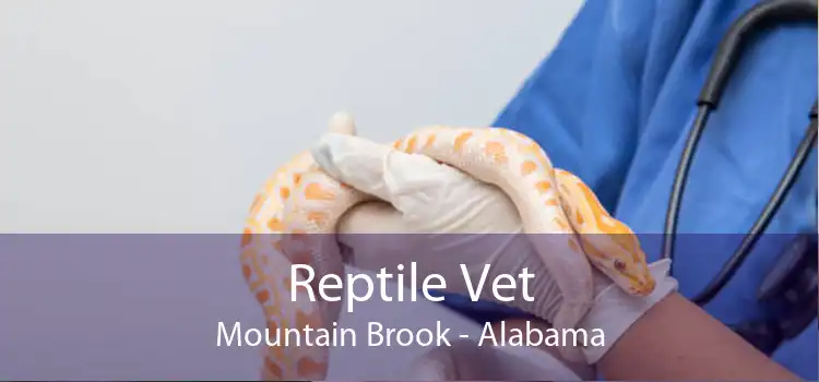 Reptile Vet Mountain Brook - Alabama