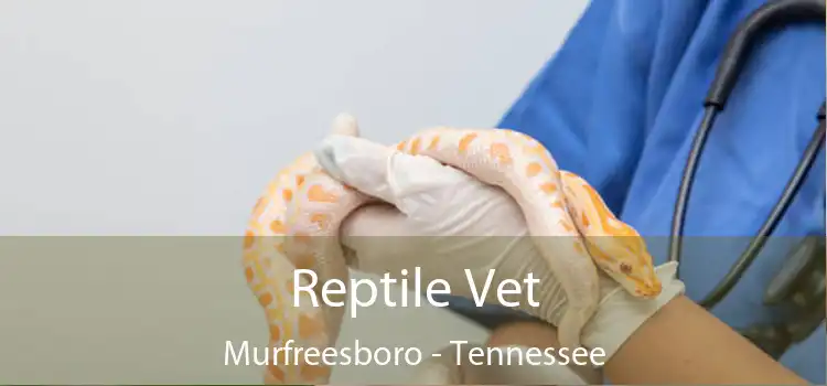 Reptile Vet Murfreesboro - Tennessee