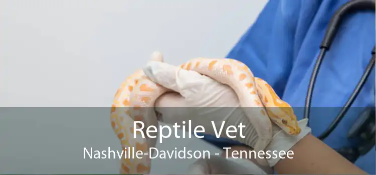 Reptile Vet Nashville-Davidson - Tennessee