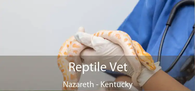 Reptile Vet Nazareth - Kentucky