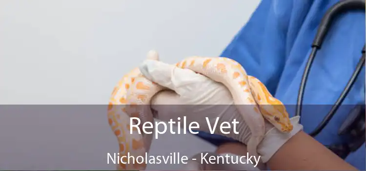 Reptile Vet Nicholasville - Kentucky