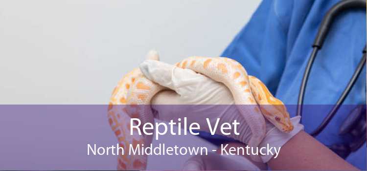 Reptile Vet North Middletown - Kentucky