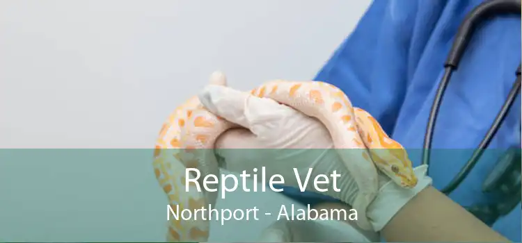 Reptile Vet Northport - Alabama