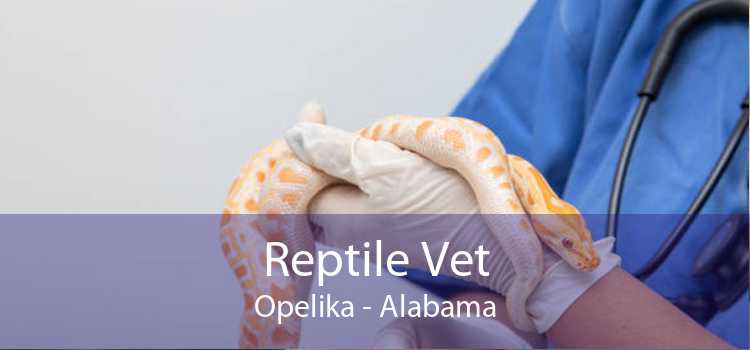 Reptile Vet Opelika - Alabama