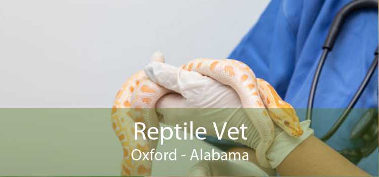 Reptile Vet Oxford - Alabama