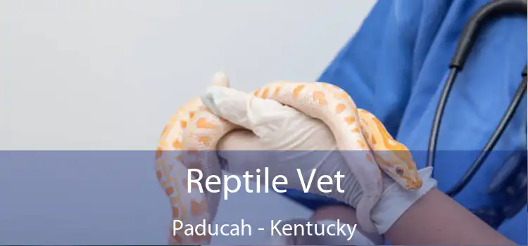 Reptile Vet Paducah - Kentucky