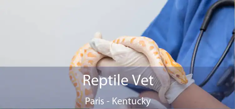 Reptile Vet Paris - Kentucky