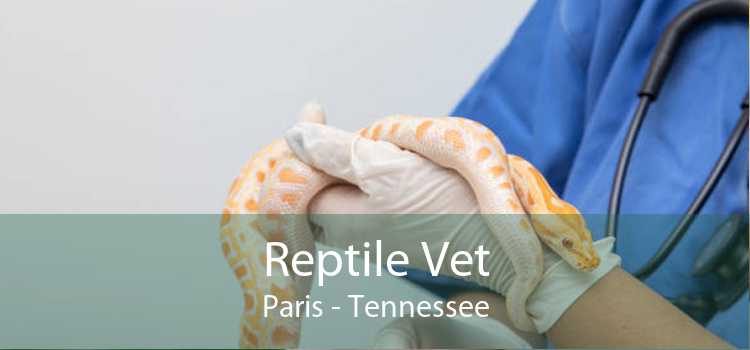 Reptile Vet Paris - Tennessee