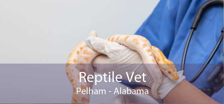 Reptile Vet Pelham - Alabama