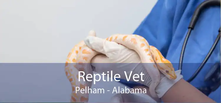 Reptile Vet Pelham - Alabama