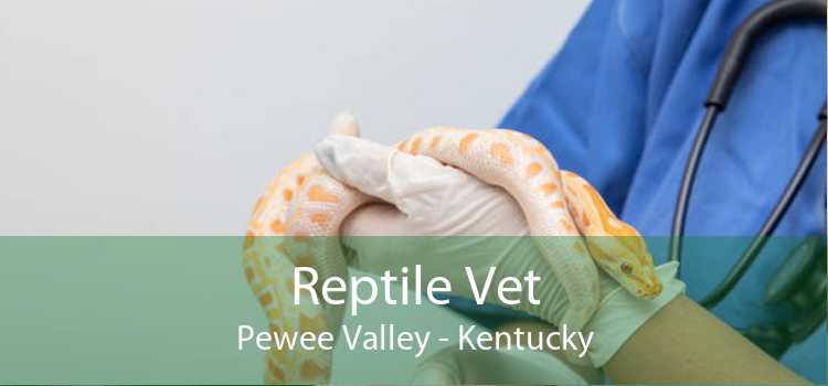 Reptile Vet Pewee Valley - Kentucky