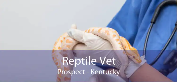 Reptile Vet Prospect - Kentucky