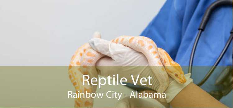 Reptile Vet Rainbow City - Alabama