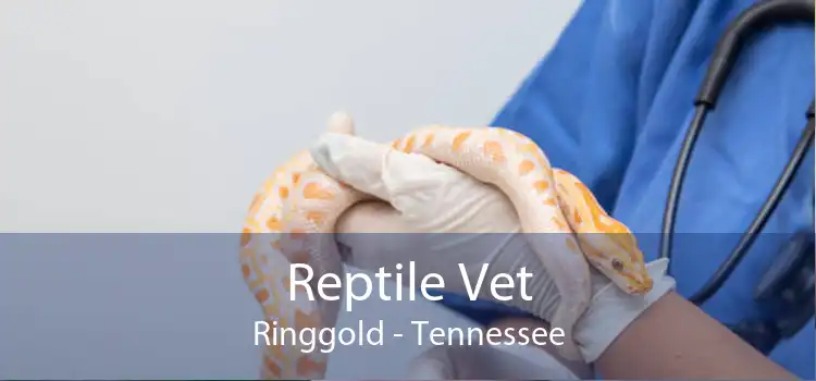 Reptile Vet Ringgold - Tennessee