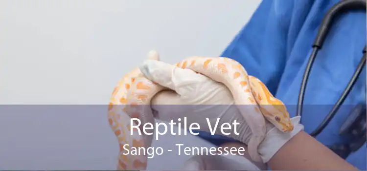 Reptile Vet Sango - Tennessee