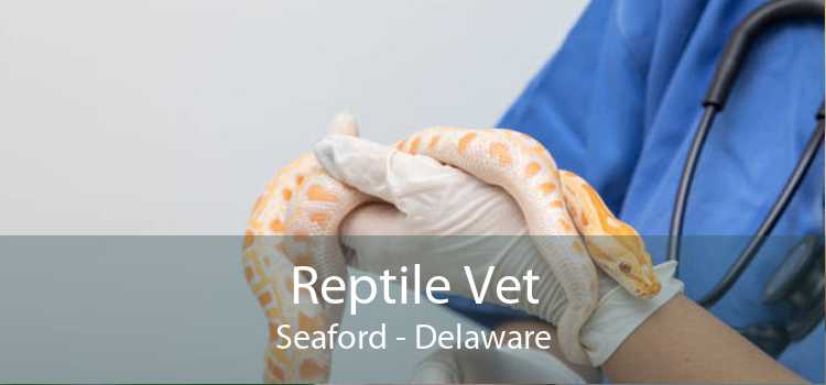 Reptile Vet Seaford - Delaware