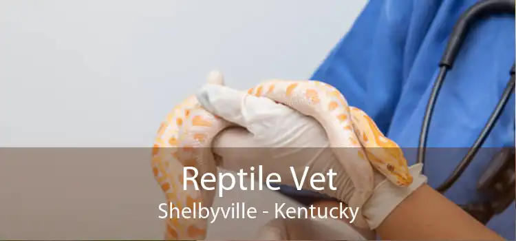 Reptile Vet Shelbyville - Kentucky