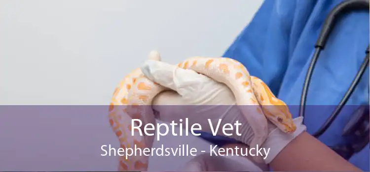 Reptile Vet Shepherdsville - Kentucky