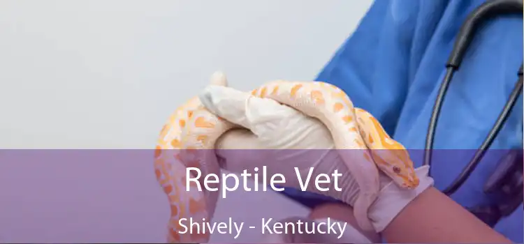 Reptile Vet Shively - Kentucky
