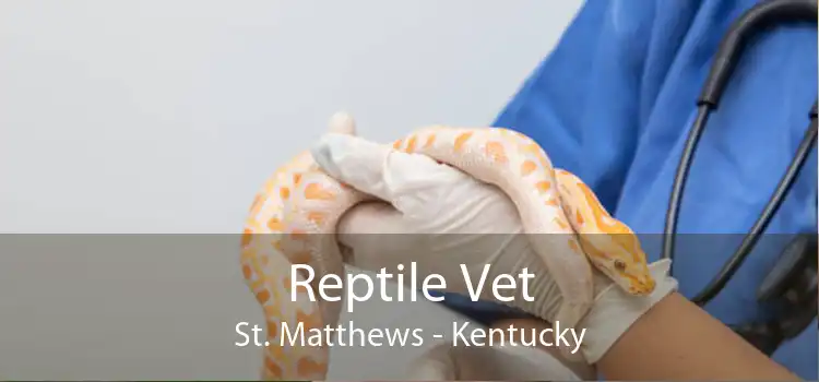 Reptile Vet St. Matthews - Kentucky