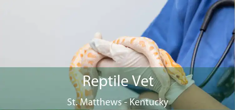 Reptile Vet St. Matthews - Kentucky