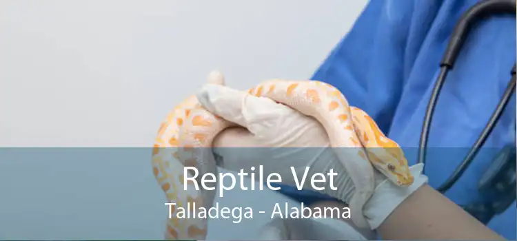 Reptile Vet Talladega - Alabama