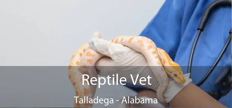 Reptile Vet Talladega - Alabama