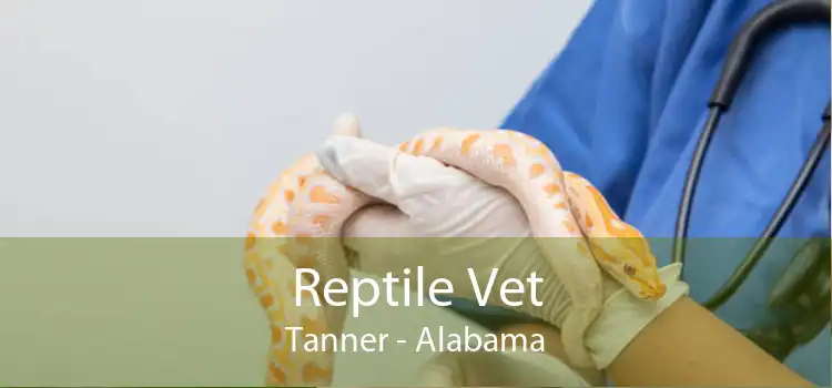 Reptile Vet Tanner - Alabama