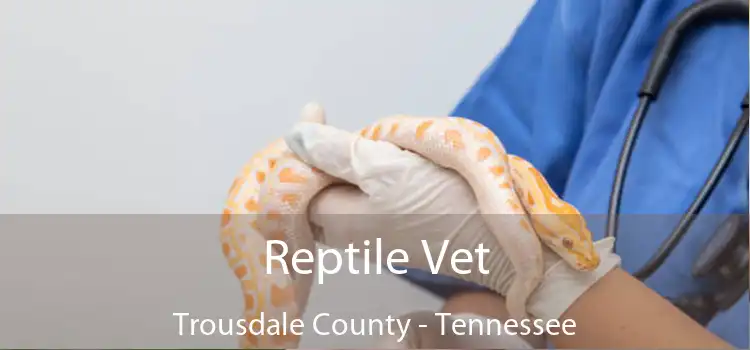 Reptile Vet Trousdale County - Tennessee