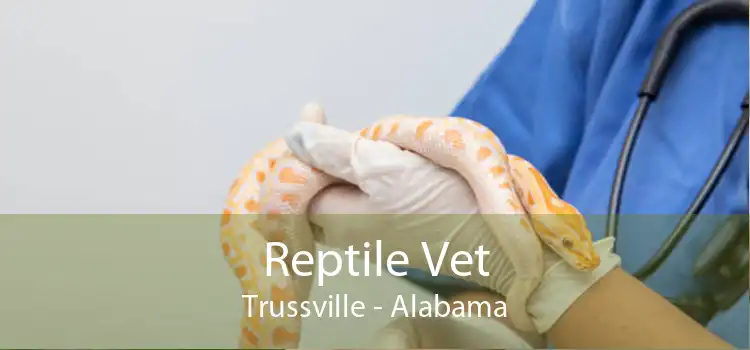 Reptile Vet Trussville - Alabama