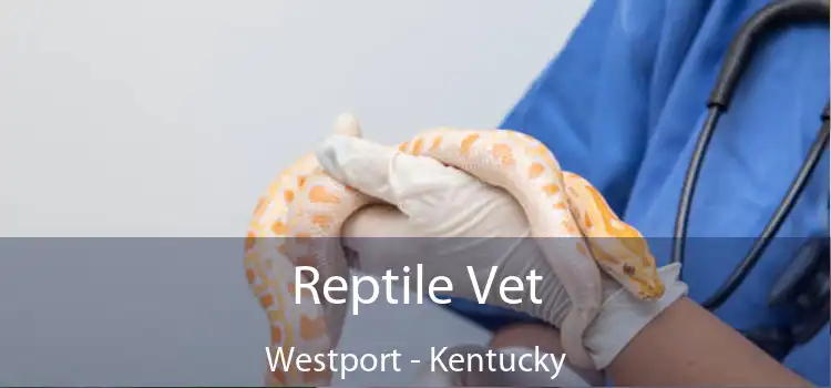 Reptile Vet Westport - Kentucky