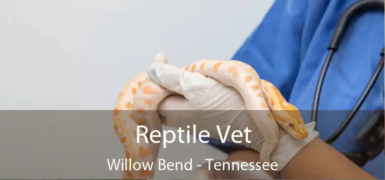 Reptile Vet Willow Bend - Tennessee