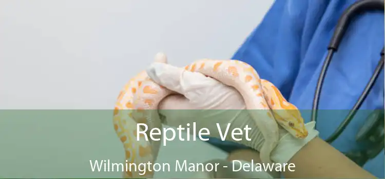 Reptile Vet Wilmington Manor - Delaware