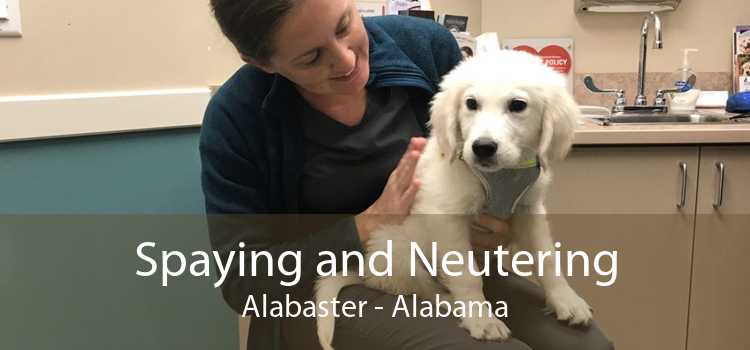 Spaying and Neutering Alabaster - Alabama