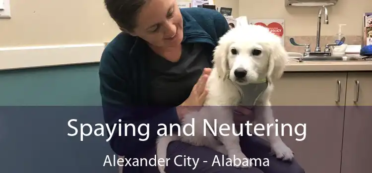 Spaying and Neutering Alexander City - Alabama